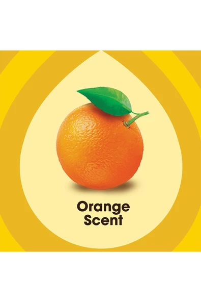 Pledge Portakal Canlandırıcı ve Nemlendirici Mobilya Yağı Sprey 473ML - 6