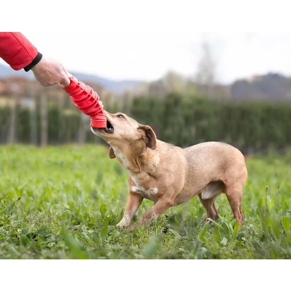 Bama Köpekler İçin Toksit İçermeyen Oyuncak - 3