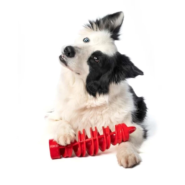 Bama Köpekler İçin Toksit İçermeyen Oyuncak - 2