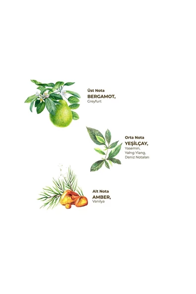 Beyaz Çay Kolonyası 400 ml - Pet Şişe - 4