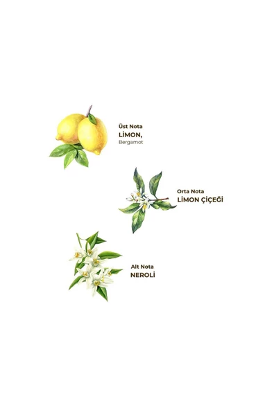 Klasik Limon Kolonyası 200 ml - Pet Şişe - 4