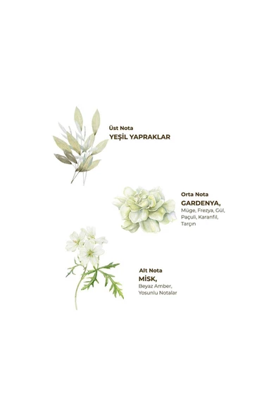 Ayvalık Zeytin Çiçeği 150 Ml Sprey Kolonya - Pet Şişe - 2