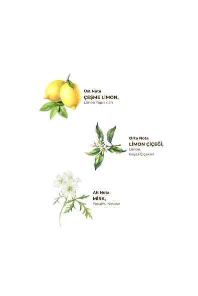 Çeşme Limonu 150 Ml Sprey Kolonya - Pet Şişe - 2