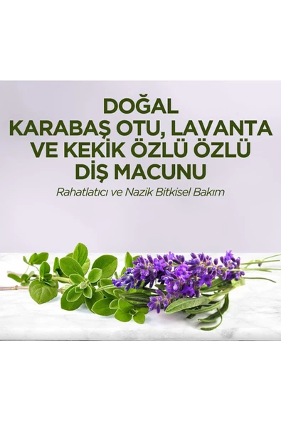 Doğal Karabaş Otu, Lavanta Ve Kekik Özlü Diş Macunu 90 ml - 4