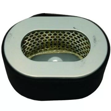 Hava Filitresi Palmera PA100DE