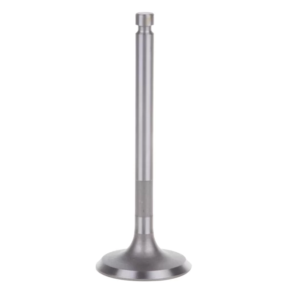 Supap Egzoz Palmera 6500CXE / 700DJM / SDE6500 / DG5500E