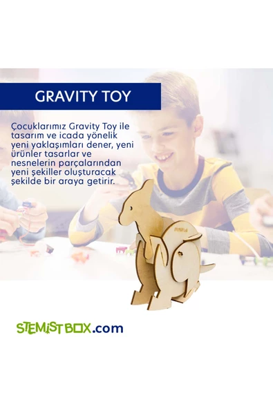Stemist Box Gravity Toy - 5
