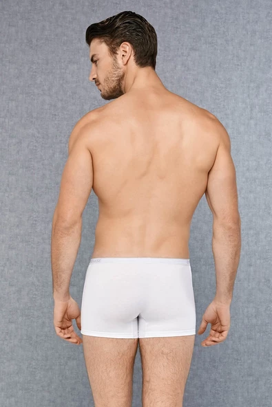 Doreanse 1717 Erkek Pamuklu Likrlı Boxer - 2