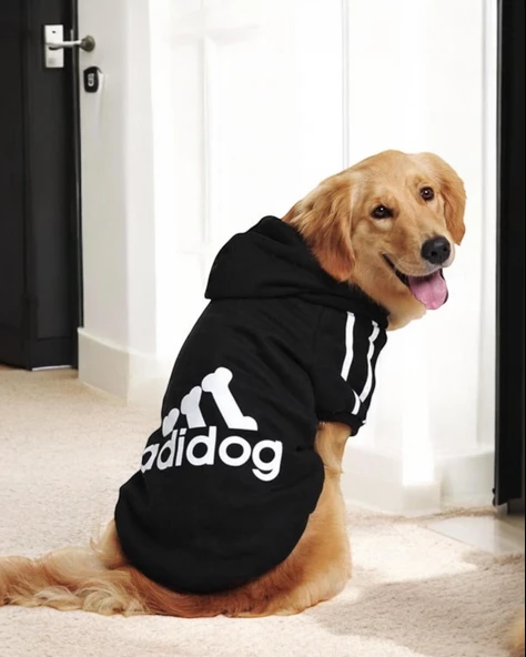 Siyah Adidog Kapşonlu Sweatshirt, Orta ve Büyük Irklar İçin - 6