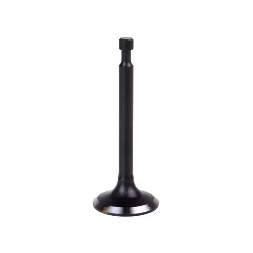 Supap Egzoz Benzinli Çim Biçme Makinesi Palmera DM51P,DM53,DV196-L