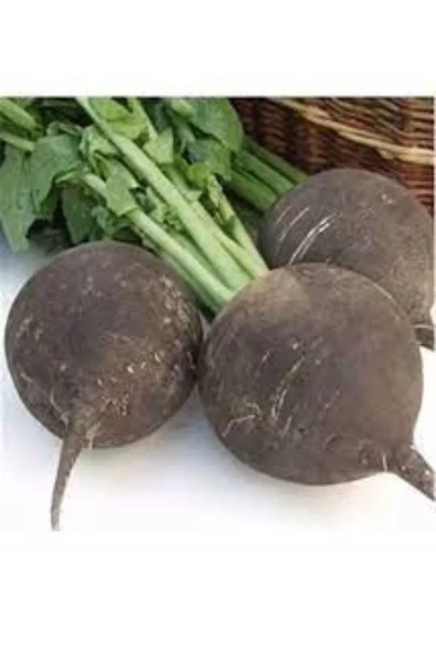 Green Line Siyah Turp Tohumu 10gr