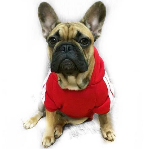 Kırmızı Adidog Kapşonlu Sweatshirt, Orta ve Büyük Irklar İçin - 5