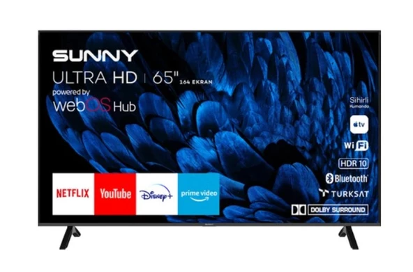 Sunny SN65FMN252 Frameless 4K Ultra HD 65" 165 Ekran Uydu Alıcılı webOS Smart LED TV