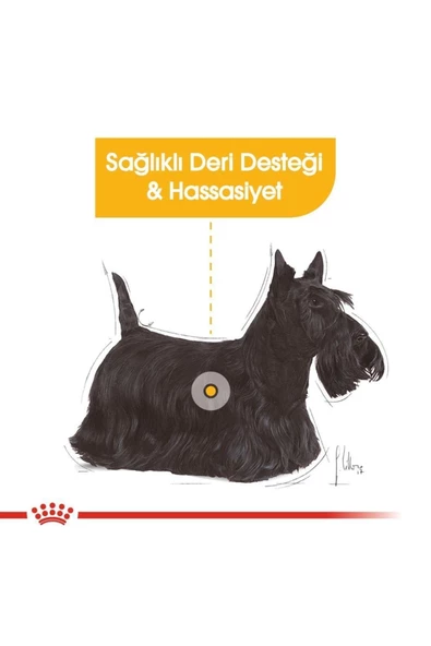 Royal Canin Dermacomfort Köpek 85 gr - 4