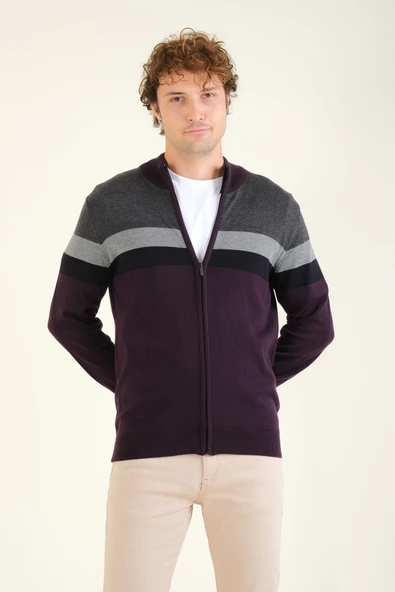 Erkek Dik Yaka Fermuarlı Renki Hırka Mor - 2