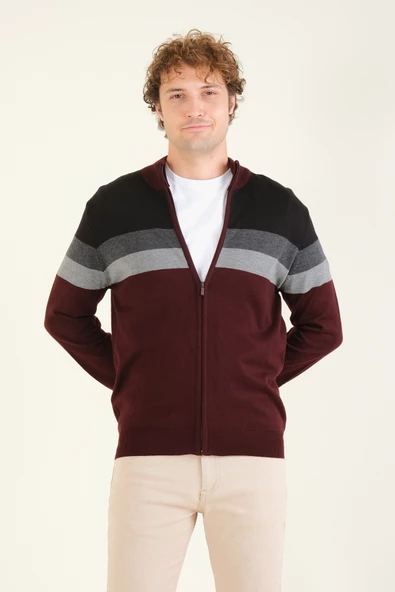 Erkek Dik Yaka Fermuarlı Renki Hırka Bordo - 3