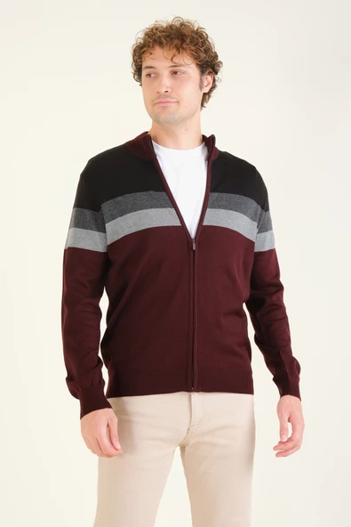 Erkek Dik Yaka Fermuarlı Renki Hırka Bordo - 4