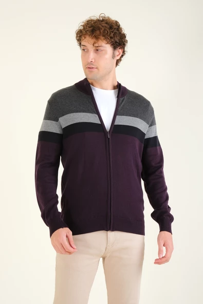 Erkek Dik Yaka Fermuarlı Renki Hırka Mor