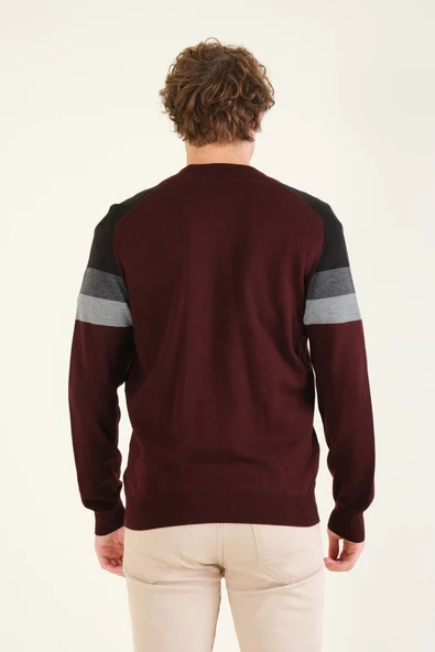 Erkek Dik Yaka Fermuarlı Renki Hırka Bordo - 6