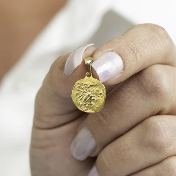 14 Ayar Altın Akrep Burç Kolye Ucu 1,91 gr - Resim 6