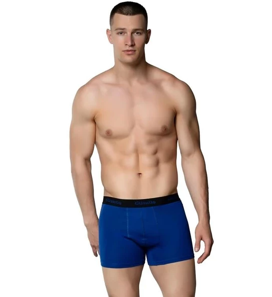 6 Adet Gümüş Erkek Renkli Likralı Spor Boxer 3074 - 6