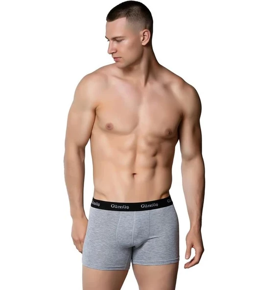 6 Adet Gümüş Erkek Renkli Likralı Spor Boxer 3074 - 2