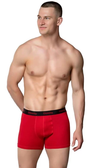 6 Adet Gümüş Erkek Renkli Likralı Spor Boxer 3074 - 5