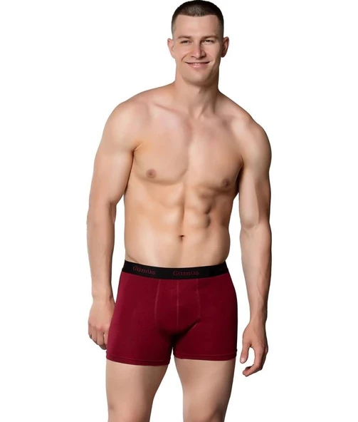 6 Adet Gümüş Erkek Renkli Likralı Spor Boxer 3074 - 3