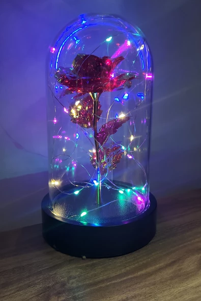 Siyah Tabanlı Led Işıklı Sevgililer Günü Solmayan Sonsuzluk Gülü Fanuslu Gece Lambası - 3