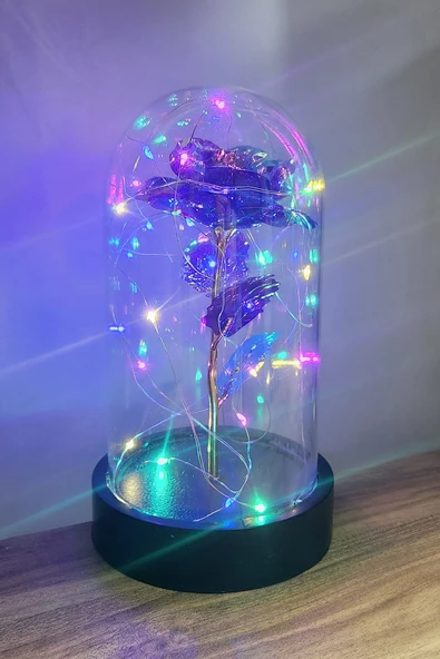 Siyah Tabanlı Led Işıklı Sevgililer Günü Solmayan Sonsuzluk Gülü Fanuslu Gece Lambası - 7