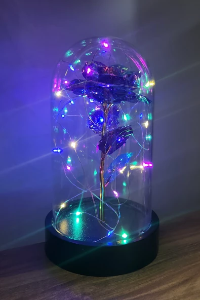 Siyah Tabanlı Led Işıklı Sevgililer Günü Solmayan Sonsuzluk Gülü Fanuslu Gece Lambası - 8