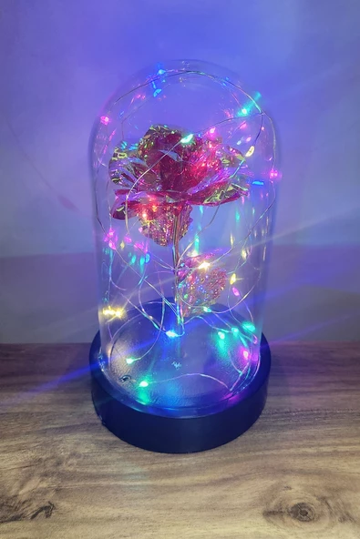 Siyah Tabanlı Led Işıklı Sevgililer Günü Solmayan Sonsuzluk Gülü Fanuslu Gece Lambası - 4