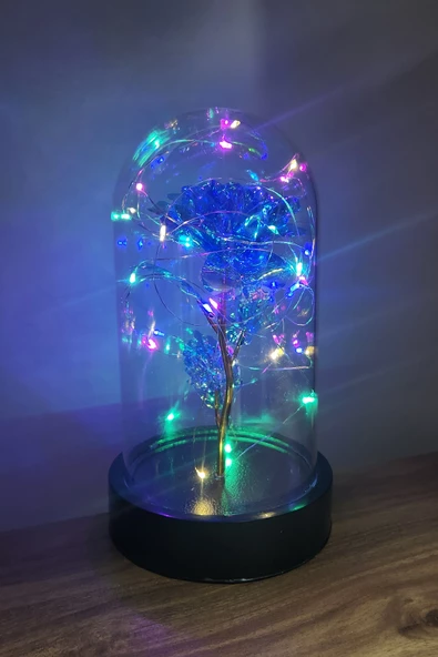 Siyah Tabanlı Led Işıklı Sevgililer Günü Solmayan Sonsuzluk Gülü Fanuslu Gece Lambası - 5