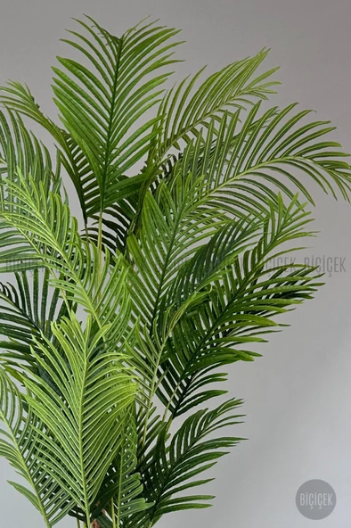 BİÇİÇEK   Yapay Areka Palmiyesi 250 cm lux dış mekan saksıda - Resim 12