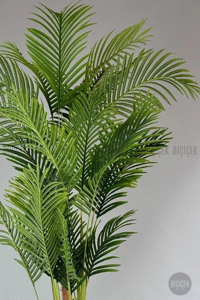 BİÇİÇEK   Yapay Areka Palmiyesi 250 cm lux dış mekan saksıda - Resim 4