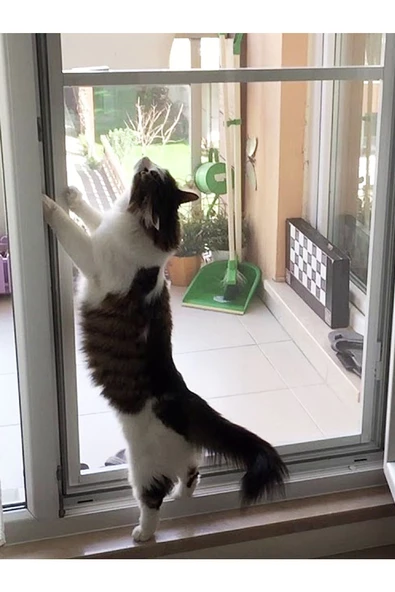 Kamataş   Menteşeli Yırtılmaz Kapı Kedi Sinekliği (Pet Tül) Beyaz 90X210 Cm. Özel Ölçü Verebilirsiniz. - 6