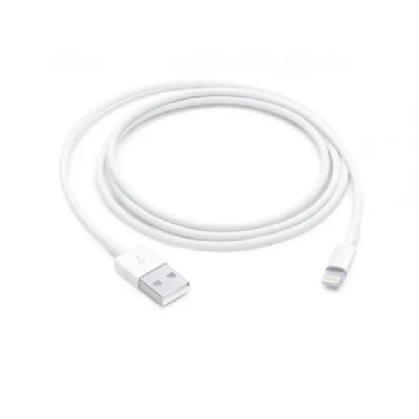 Lightning To Usb Şarj Data Kablosu (1M)