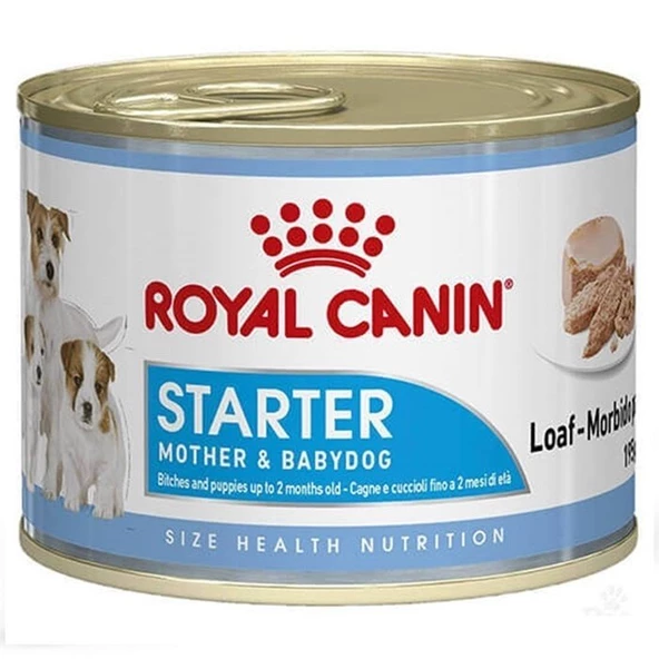 Royal Canin Starter Köpek Konservesi 195 Gr