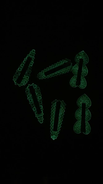 Fosforlu Neon Parlak Yeşil Renk Gümüş Pens Kıskaçlı Damla Şekil 2'li Saç Tokası El Yapımı Epoksi - Resim 8