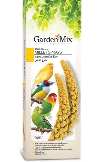 Gardenmix Platin Sarı Dal Darı 150 Gr