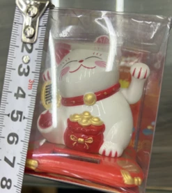 Şanslı Kedi
