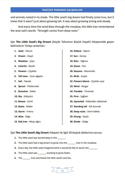İngilizce PARAGRAF Analizleri (Tüm Dil Sınavları İçin) - 4