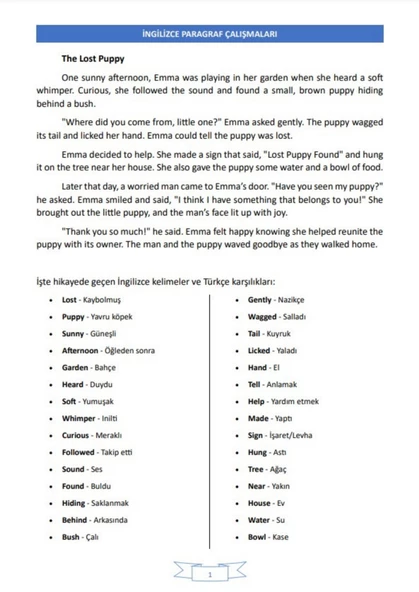 İngilizce PARAGRAF Analizleri (Tüm Dil Sınavları İçin) - 2