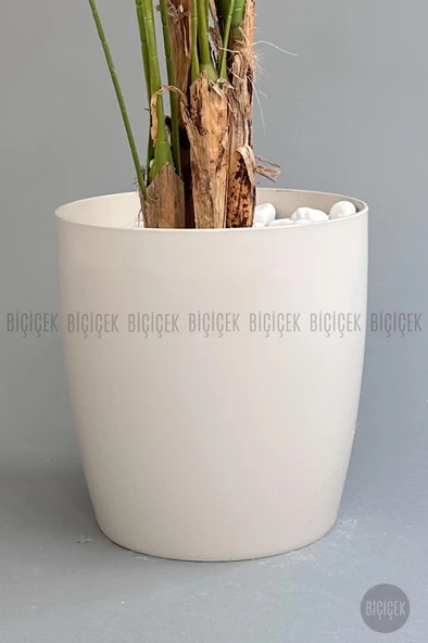 BİÇİÇEK Yapay Areka Palmiyesi 200 cm saksıda - 4