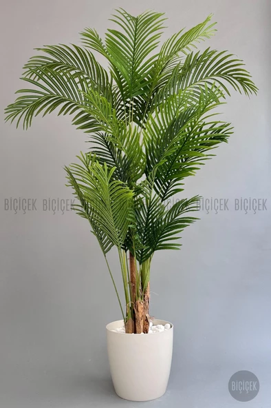 BİÇİÇEK Yapay Areka Palmiyesi 200 cm saksıda - 3