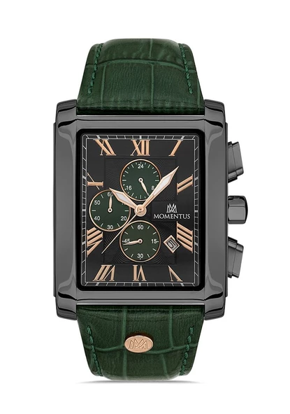 MOMENTUS TM111N-15YR ERKEK KOL SAATİ