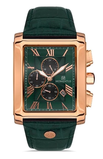 MOMENTUS TM111R-15YR ERKEK KOL SAATİ ürün görseli