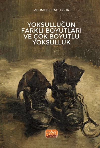 Yoksulluğun Farklı Boyutları ve Çok Boyutlu Yoksulluk ürün görseli