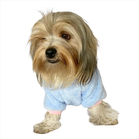 Softie Blue Bunny Kapşonlu Sweat by Kemique Köpek Kazağı - Resim 7