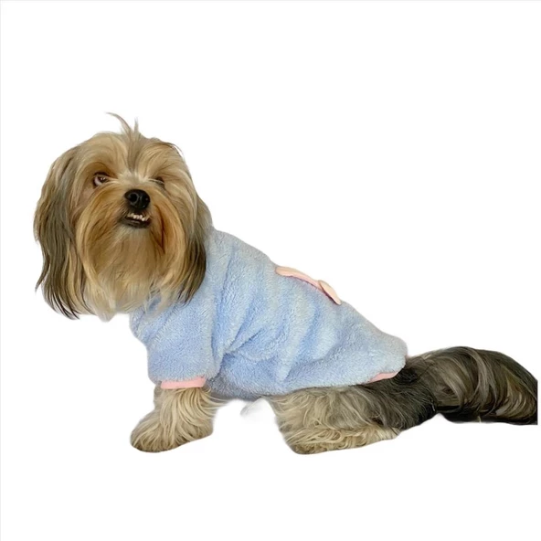 Softie Blue Bunny Kapşonlu Sweat by Kemique Köpek Kazağı - Resim 6